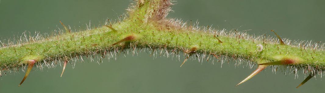 Bild3