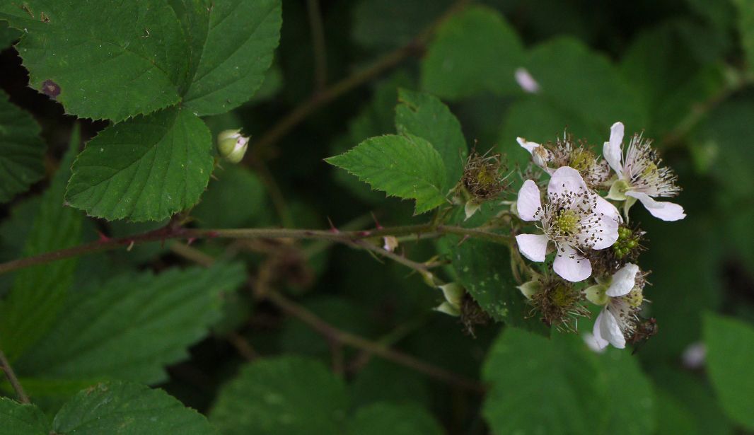 Bild3