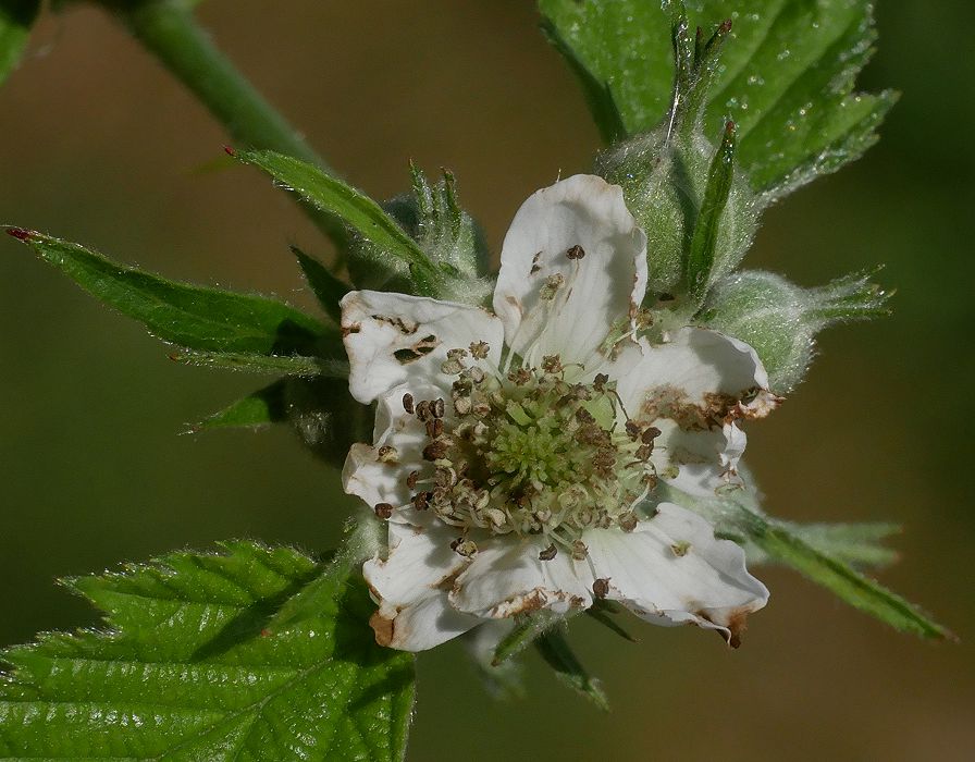 Bild3