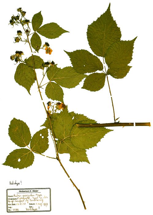Bild3