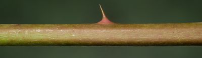 Bild12