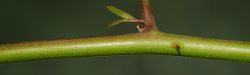 Bild2