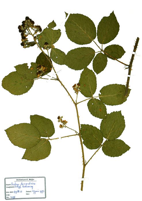 Bild3