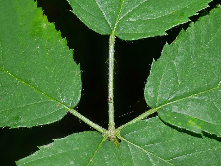 Bild3