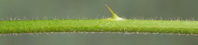 Bild16
