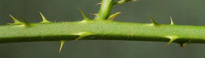 Bild12