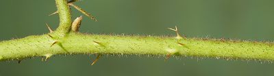 Bild12