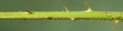 Bild16