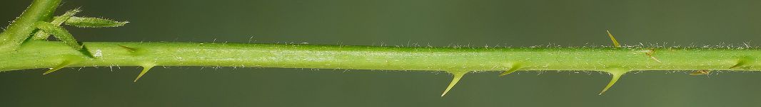 Bild3