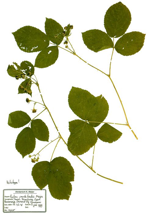 Bild3