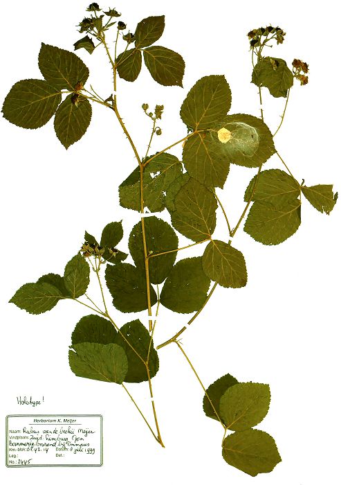 Bild3