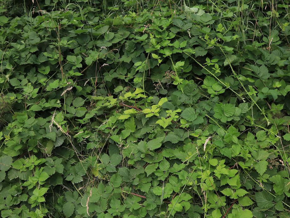 Bild3